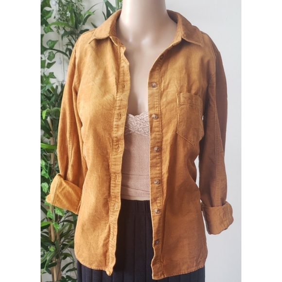 Golden yellow corduroy button down shirt - Picture 8 of 12